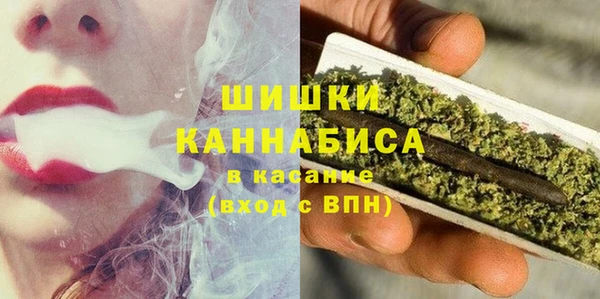 тгк Дмитров